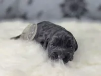 processed/bfbae80a-5fee-4b43-9a6d-87e1656d671c/listing/2aab9488-3846-43ab-ac96-fb602c541daa/e268b572-873c-4524-a5ca-5dc18d96f70b