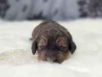 processed/bfbae80a-5fee-4b43-9a6d-87e1656d671c/listing/30f958bd-c2e7-4241-b967-8f821cd00a21/2308c828-b860-4499-983a-79b0afc6b555