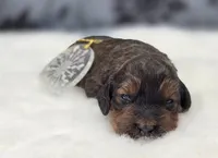 processed/bfbae80a-5fee-4b43-9a6d-87e1656d671c/listing/30f958bd-c2e7-4241-b967-8f821cd00a21/3c43646d-09af-450d-89be-10ce928e1027