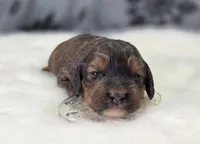 processed/bfbae80a-5fee-4b43-9a6d-87e1656d671c/listing/30f958bd-c2e7-4241-b967-8f821cd00a21/809a2a31-643e-4325-b881-4b2b524be812