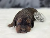 processed/bfbae80a-5fee-4b43-9a6d-87e1656d671c/listing/30f958bd-c2e7-4241-b967-8f821cd00a21/8dd026d8-fe41-4930-a686-8829660225c6