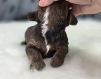 processed/bfbae80a-5fee-4b43-9a6d-87e1656d671c/listing/30f958bd-c2e7-4241-b967-8f821cd00a21/d42548af-edf8-421f-a574-17a268eeb446