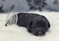 processed/bfbae80a-5fee-4b43-9a6d-87e1656d671c/listing/3c763ef3-a0e3-448f-819f-217c7dfacc74/03735d97-384f-46aa-aaad-e7f94ede46ad