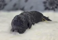 processed/bfbae80a-5fee-4b43-9a6d-87e1656d671c/listing/3c763ef3-a0e3-448f-819f-217c7dfacc74/094d834a-c586-4fa2-a842-34ca09fa677a