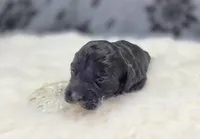 processed/bfbae80a-5fee-4b43-9a6d-87e1656d671c/listing/3c763ef3-a0e3-448f-819f-217c7dfacc74/2f094193-135a-4eab-8c2f-121dc5544c13