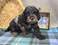 processed/bfbae80a-5fee-4b43-9a6d-87e1656d671c/listing/7884a63f-8242-4339-90d4-1507836d4354/0372a467-3d23-4170-88a5-38cb7f22b7b9