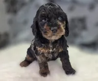 processed/bfbae80a-5fee-4b43-9a6d-87e1656d671c/listing/7884a63f-8242-4339-90d4-1507836d4354/0efe4892-d3a4-4626-b838-14cfc4626fa7