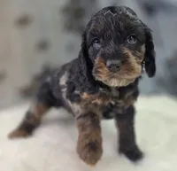 processed/bfbae80a-5fee-4b43-9a6d-87e1656d671c/listing/7884a63f-8242-4339-90d4-1507836d4354/4792c624-d715-416f-9d61-6e3b88edbf69