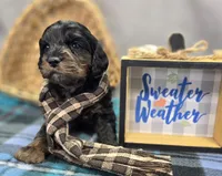 processed/bfbae80a-5fee-4b43-9a6d-87e1656d671c/listing/7884a63f-8242-4339-90d4-1507836d4354/565cf079-2f5c-439d-88fa-10970d233dfe