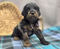 processed/bfbae80a-5fee-4b43-9a6d-87e1656d671c/listing/7884a63f-8242-4339-90d4-1507836d4354/98d633fb-13c4-4b07-ad85-30b58e718e9c