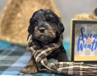 processed/bfbae80a-5fee-4b43-9a6d-87e1656d671c/listing/7884a63f-8242-4339-90d4-1507836d4354/cf69eb9d-b069-4f01-ac7f-8e2c7814088f