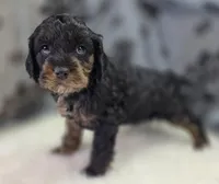 processed/bfbae80a-5fee-4b43-9a6d-87e1656d671c/listing/7884a63f-8242-4339-90d4-1507836d4354/d567ac6d-2d7f-460f-bc75-44e1c68de0c0