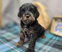 processed/bfbae80a-5fee-4b43-9a6d-87e1656d671c/listing/7884a63f-8242-4339-90d4-1507836d4354/d7b1ba79-fbcf-4efa-a983-71d72feca116