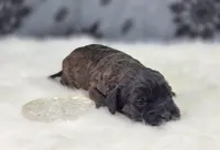 processed/bfbae80a-5fee-4b43-9a6d-87e1656d671c/listing/8f746acd-0cd1-43b0-ab62-254428180dde/45db14dc-c8b7-4e70-882a-58c7687f2e11