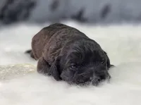 processed/bfbae80a-5fee-4b43-9a6d-87e1656d671c/listing/8f746acd-0cd1-43b0-ab62-254428180dde/b2f00875-b51c-4d8e-88ff-5b07f81fe8c6