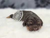 processed/bfbae80a-5fee-4b43-9a6d-87e1656d671c/listing/ac5a6498-fe14-4f0c-b7d0-0b350e72d2db/7c22b063-c4d8-4c15-bbbb-82976eec5df2