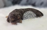 processed/bfbae80a-5fee-4b43-9a6d-87e1656d671c/listing/ac5a6498-fe14-4f0c-b7d0-0b350e72d2db/a33bc818-3d60-4dfe-843a-f7a91322e55a