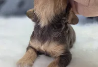 processed/bfbae80a-5fee-4b43-9a6d-87e1656d671c/listing/ac5a6498-fe14-4f0c-b7d0-0b350e72d2db/b063c6c3-e755-4911-b6c1-7679a70d8814