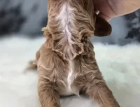 processed/bfbae80a-5fee-4b43-9a6d-87e1656d671c/listing/b2999f79-09cc-4608-9974-b64628962350/76bad37d-2cfa-49c6-8d11-1e9a2a8f2998