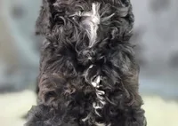 processed/bfbae80a-5fee-4b43-9a6d-87e1656d671c/listing/cad16297-861f-40ac-a999-04d3b50225ce/18dbccd9-4f95-44e2-9e39-0c3ef834c47c