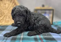 processed/bfbae80a-5fee-4b43-9a6d-87e1656d671c/listing/cad16297-861f-40ac-a999-04d3b50225ce/1d870994-bb2a-4be4-bfbc-42939ea40515