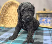 processed/bfbae80a-5fee-4b43-9a6d-87e1656d671c/listing/cad16297-861f-40ac-a999-04d3b50225ce/4c42f607-7f6b-400d-b5c6-45e628032e99