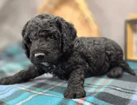 processed/bfbae80a-5fee-4b43-9a6d-87e1656d671c/listing/cad16297-861f-40ac-a999-04d3b50225ce/62000c29-1b1b-49f7-b58c-49c2e557bea9