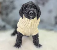 processed/bfbae80a-5fee-4b43-9a6d-87e1656d671c/listing/cad16297-861f-40ac-a999-04d3b50225ce/67727afb-16fa-4788-a103-dc853e49b1b2