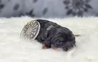 processed/bfbae80a-5fee-4b43-9a6d-87e1656d671c/listing/f75e1921-9e25-4107-93f6-e3bcec07d729/07bab894-5389-43ab-b254-97bc6c0a4032