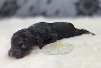 processed/bfbae80a-5fee-4b43-9a6d-87e1656d671c/listing/f75e1921-9e25-4107-93f6-e3bcec07d729/1bc6b1da-da4f-4521-b713-f4015ef98072