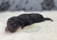 processed/bfbae80a-5fee-4b43-9a6d-87e1656d671c/listing/f75e1921-9e25-4107-93f6-e3bcec07d729/2d94e515-3753-4ee2-9ab7-90e831508d93