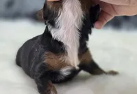 processed/bfbae80a-5fee-4b43-9a6d-87e1656d671c/listing/f75e1921-9e25-4107-93f6-e3bcec07d729/59cda0f7-0068-4d0e-88b0-6b09252d5f6f