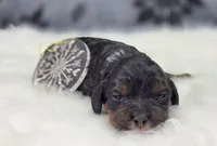 processed/bfbae80a-5fee-4b43-9a6d-87e1656d671c/listing/f75e1921-9e25-4107-93f6-e3bcec07d729/a2d87d42-fc5a-4082-8013-7cba743e66dd