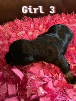 processed/bfbf7bb5-09ef-4f6d-9a21-35825043171d/listing/03f6cd4b-e647-464b-8f36-ff2bde44506b/217a90f0-6a2e-4411-ac5d-be62446583a2