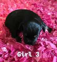 processed/bfbf7bb5-09ef-4f6d-9a21-35825043171d/listing/03f6cd4b-e647-464b-8f36-ff2bde44506b/b5ac5c08-7023-472e-988a-db05e011ba0b