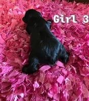 processed/bfbf7bb5-09ef-4f6d-9a21-35825043171d/listing/03f6cd4b-e647-464b-8f36-ff2bde44506b/c5dcf2e0-b68b-4112-a77b-b7c4f5fe2d7c