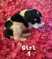 processed/bfbf7bb5-09ef-4f6d-9a21-35825043171d/listing/9f9b271f-9f30-47da-ab2f-d25b8cd22d58/6f27e8e0-7da5-43d4-b368-29f956d49b77