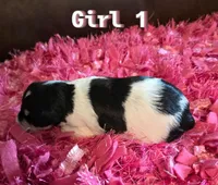 processed/bfbf7bb5-09ef-4f6d-9a21-35825043171d/listing/9f9b271f-9f30-47da-ab2f-d25b8cd22d58/ad4d80dc-dce1-4d76-87a3-1c581a96c875