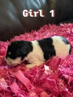 processed/bfbf7bb5-09ef-4f6d-9a21-35825043171d/listing/9f9b271f-9f30-47da-ab2f-d25b8cd22d58/b08e0689-56a9-47f4-ba88-e8d21b1297ca