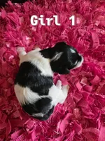 processed/bfbf7bb5-09ef-4f6d-9a21-35825043171d/listing/9f9b271f-9f30-47da-ab2f-d25b8cd22d58/df1becd8-ef52-4696-b542-d35ef3360eac