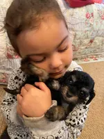 processed/bfc9e48d-ab2d-404d-a54d-6d6c6a264b74/facility/1bf15882-3ec5-4f28-9f09-a801ed44ec56