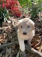 processed/bfc9e48d-ab2d-404d-a54d-6d6c6a264b74/facility/28ddc501-f82d-43e9-a606-3dd06fcab995