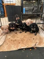 processed/bfc9e48d-ab2d-404d-a54d-6d6c6a264b74/facility/4fb42963-9261-412a-b20c-2ec2ff8ba27b