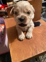 processed/bfc9e48d-ab2d-404d-a54d-6d6c6a264b74/facility/9249711d-e2f3-4bc5-a163-a3e40c0dc611