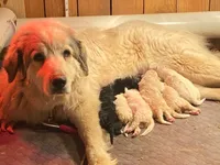 processed/bfc9e48d-ab2d-404d-a54d-6d6c6a264b74/facility/ab613c82-0dae-41bd-aa42-ee3ece3e4687