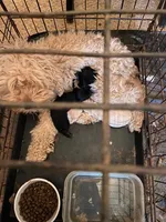 processed/bfc9e48d-ab2d-404d-a54d-6d6c6a264b74/facility/bd0e3e45-7dfd-4f5b-ab69-fc64bd1b2864