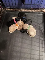 processed/bfc9e48d-ab2d-404d-a54d-6d6c6a264b74/facility/c5fea829-d5ee-4517-a1eb-85859b852d99