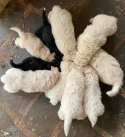 processed/bfc9e48d-ab2d-404d-a54d-6d6c6a264b74/facility/d77c58c1-abe4-4f0e-b884-1ed9a28b7bcc