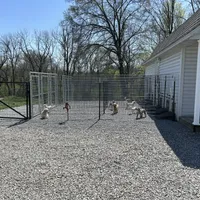 processed/bfcab699-b04f-4b4f-a696-2e7760423313/facility/6d90c7f0-b968-4a5d-b2b3-c6d7eb5f5970