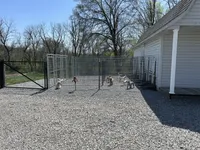 processed/bfcab699-b04f-4b4f-a696-2e7760423313/facility/6d90c7f0-b968-4a5d-b2b3-c6d7eb5f5970